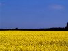 Francijas ministrs: Baltijas lauksaimnieki nedrīkst saņemt viszemākos tiešmaksājumus